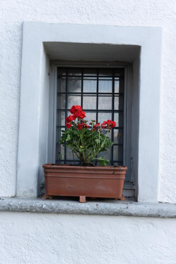 Rustic Rose - Private Premium House